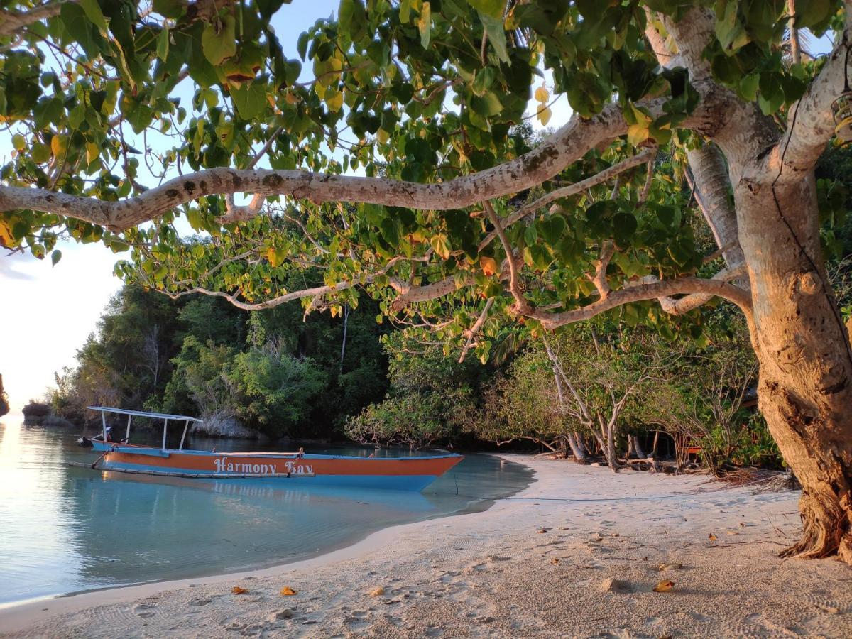 Harmony Bay Resort And Dive Center Wakai Buitenkant foto