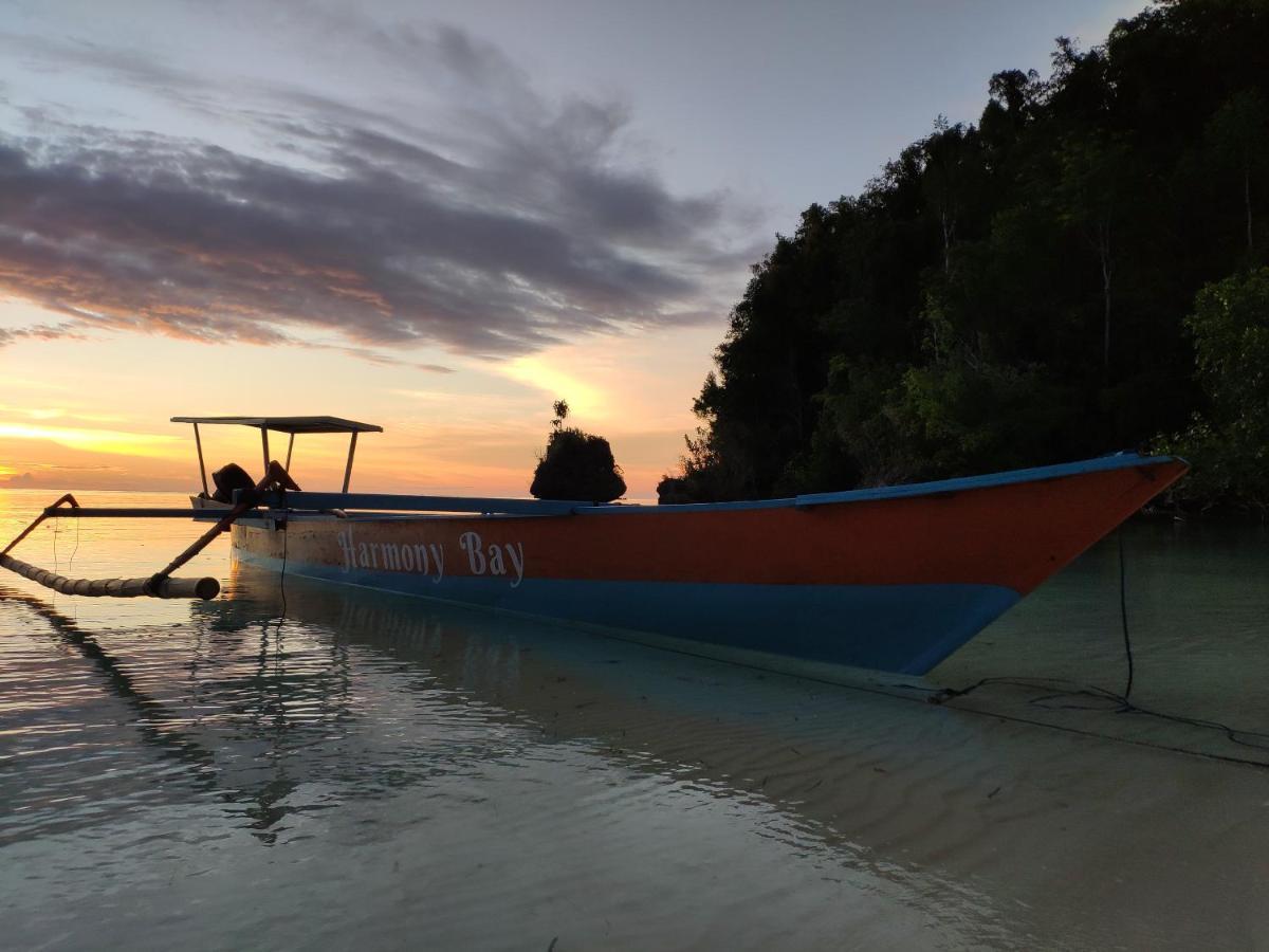 Harmony Bay Resort And Dive Center Wakai Buitenkant foto