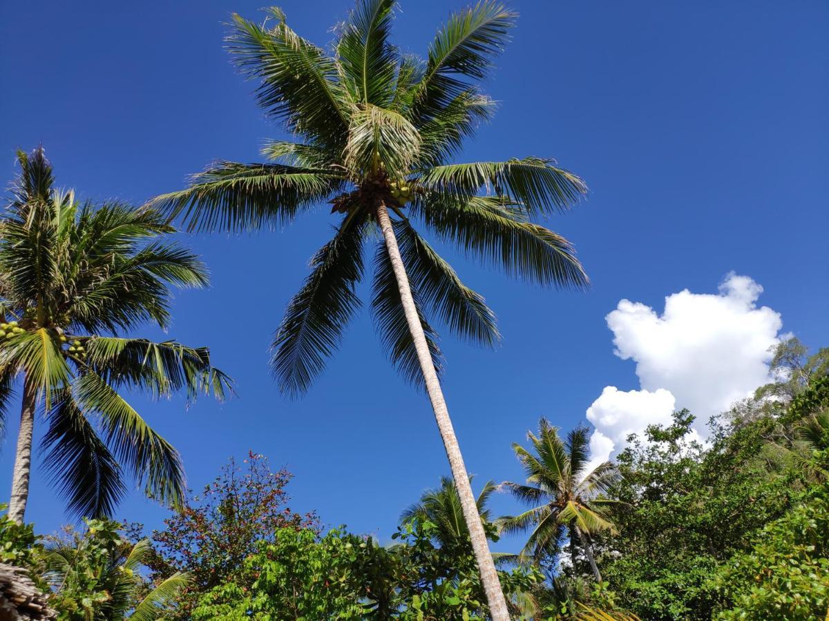 Harmony Bay Resort And Dive Center Wakai Buitenkant foto